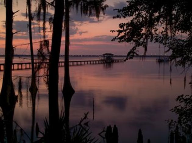 Make Your Voice Heard on Army Corps Plan to Deepen St. Johns River in Jacksonville