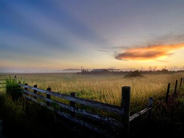 Special Program: Conservation Tools for Florida’s Private Special Places 