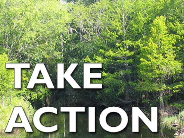 Take Action to Protect an Outstanding Florida Waterway