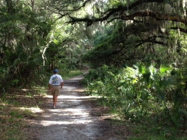 Florida's Special Places: Paynes Prairie Preserve State Park