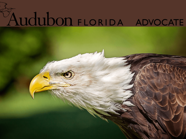 ADVOCATE: Updates on Land Conservation Discussions, Gov. Scott's Environmental Budget & More