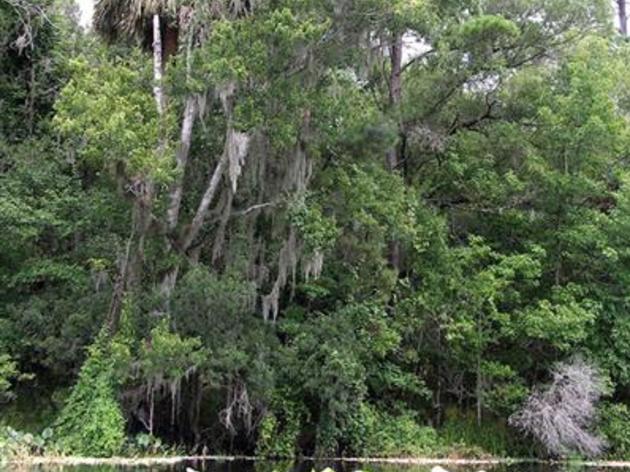 Speak Up for Florida's Conservation Lands at an Upcoming Public Hearing
