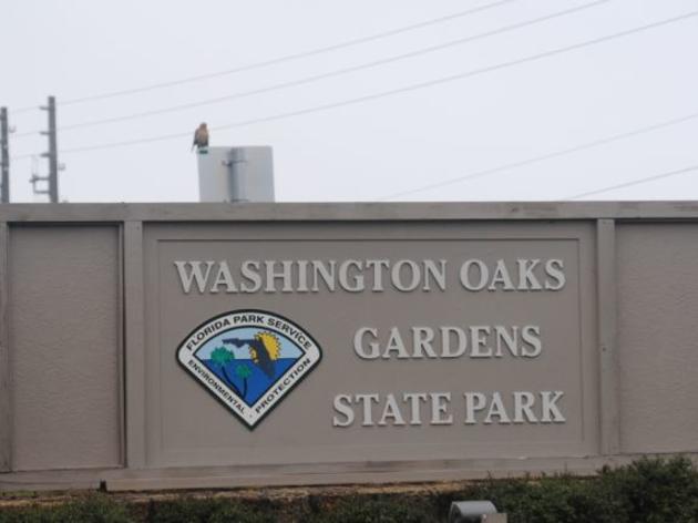 53 Parks in 53 Days: Washington Oaks Gardens State Park
