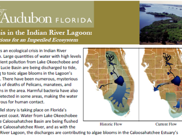 Crisis in the Indian River Lagoon: Solutions for an Imperiled Ecosystem