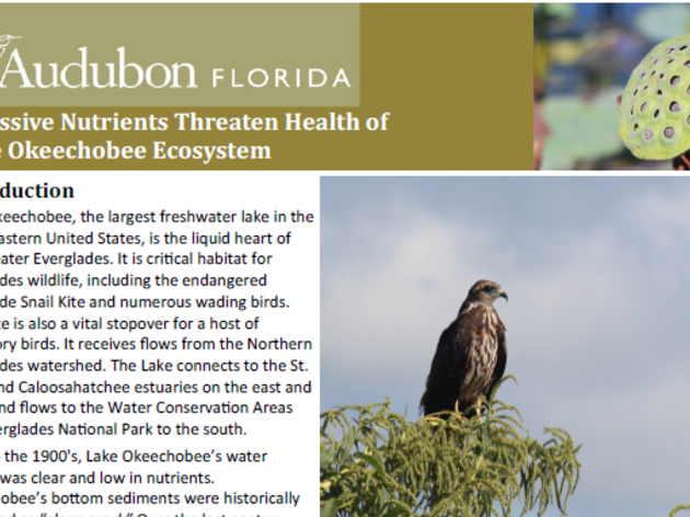 Excessive Nutrients Threaten Health of Lake Okeechobee Ecosystem
