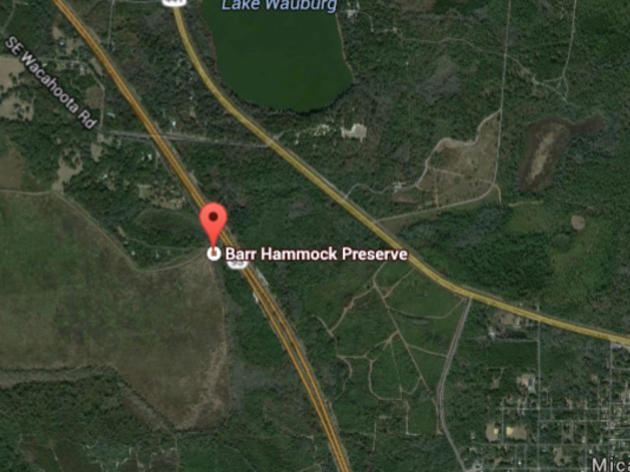 Audubon Members Save Barr Hammock Preserve