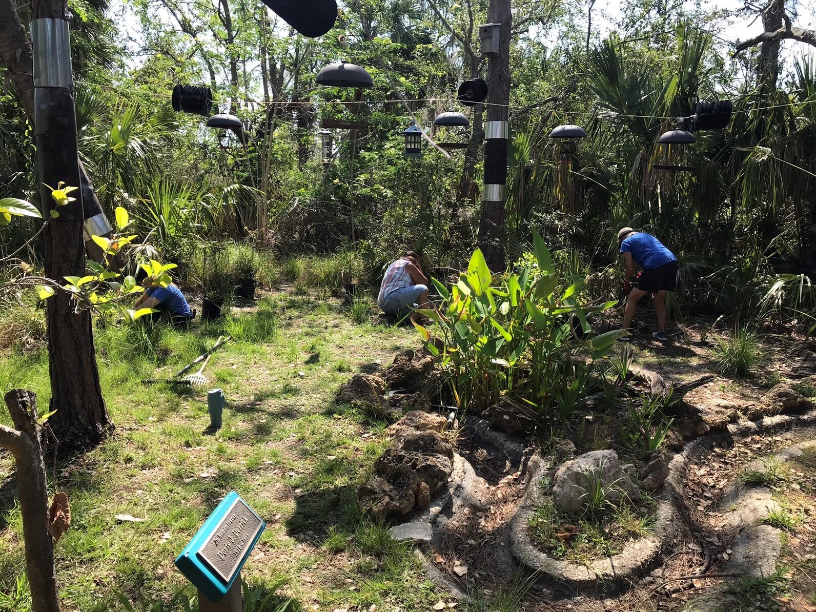 People work on plants surrounding a group of bird feeders.
