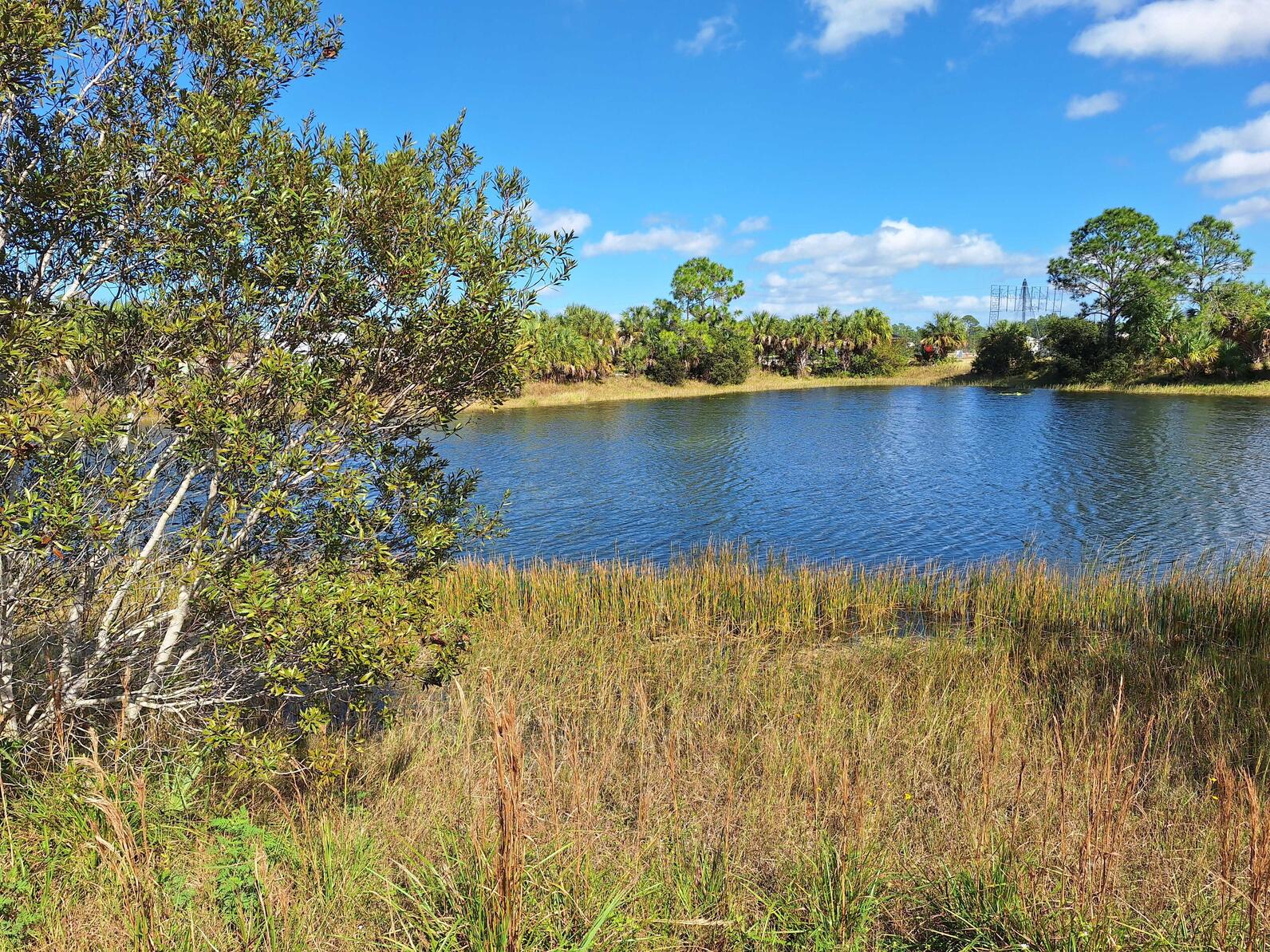 a pond with grass around it