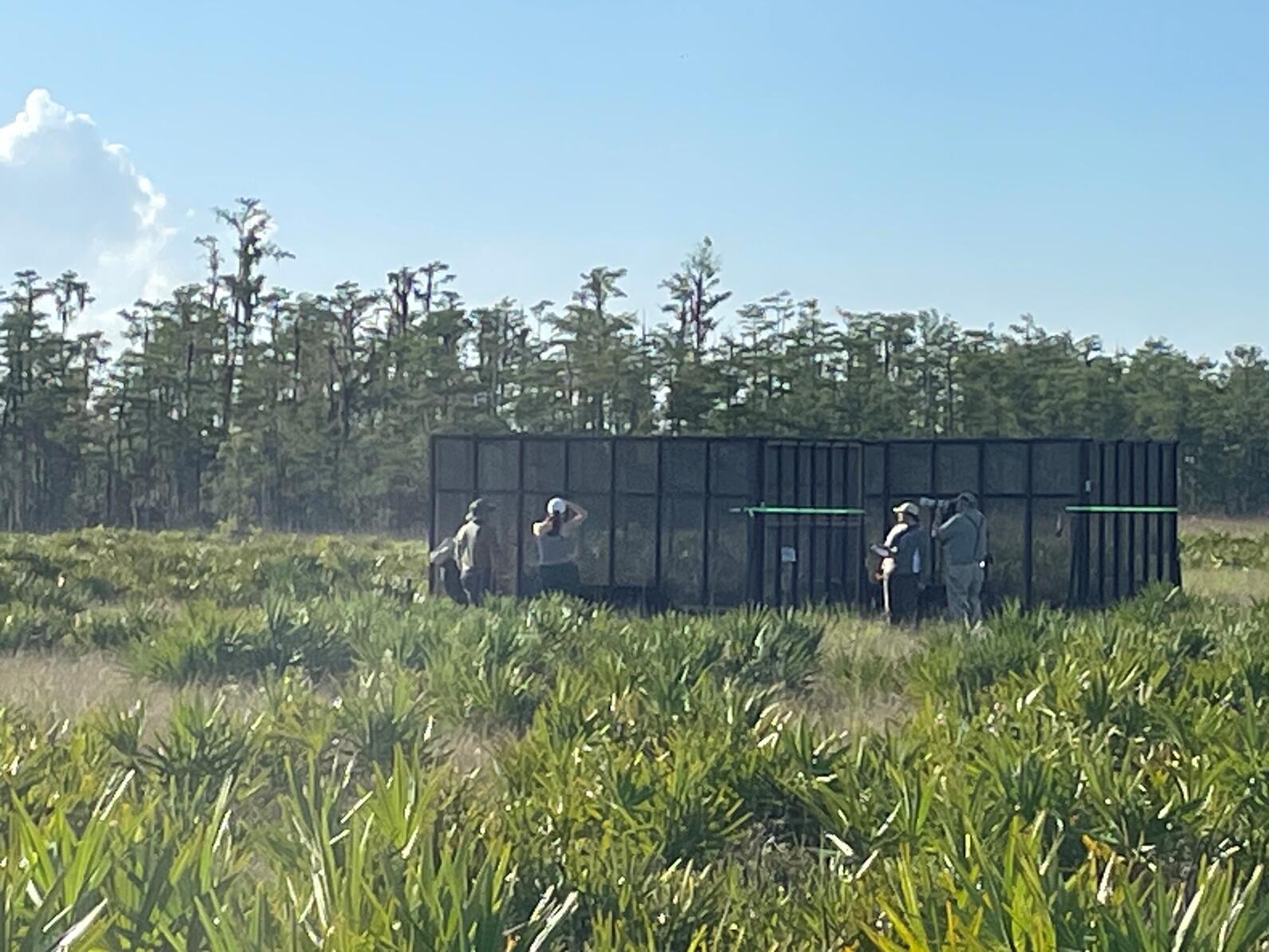 People standing around a screen enclosure in a field.