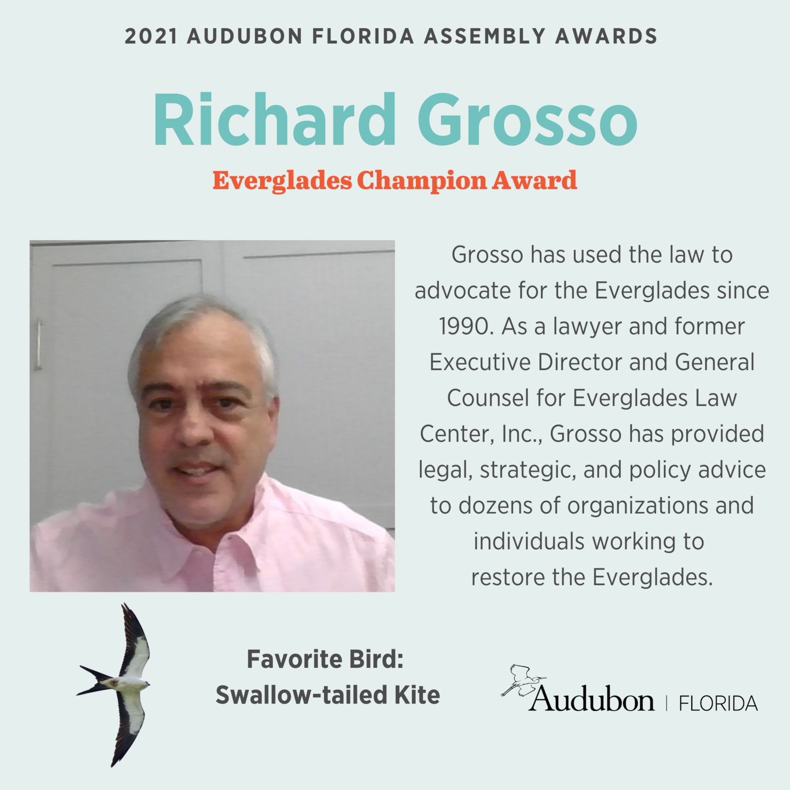 Graphic of Richard Grosso, with his favorite bird - a Swallow-tailed Kite - and repeated language from the article about why he won the award.