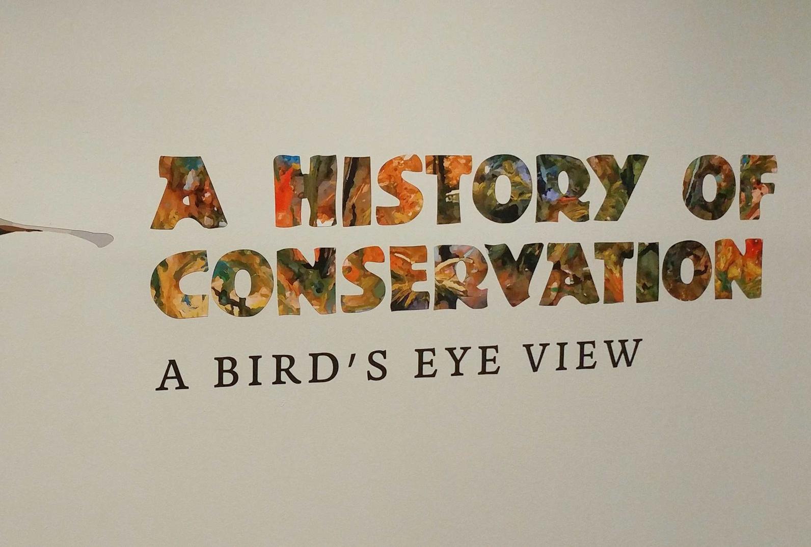A History of Conservation