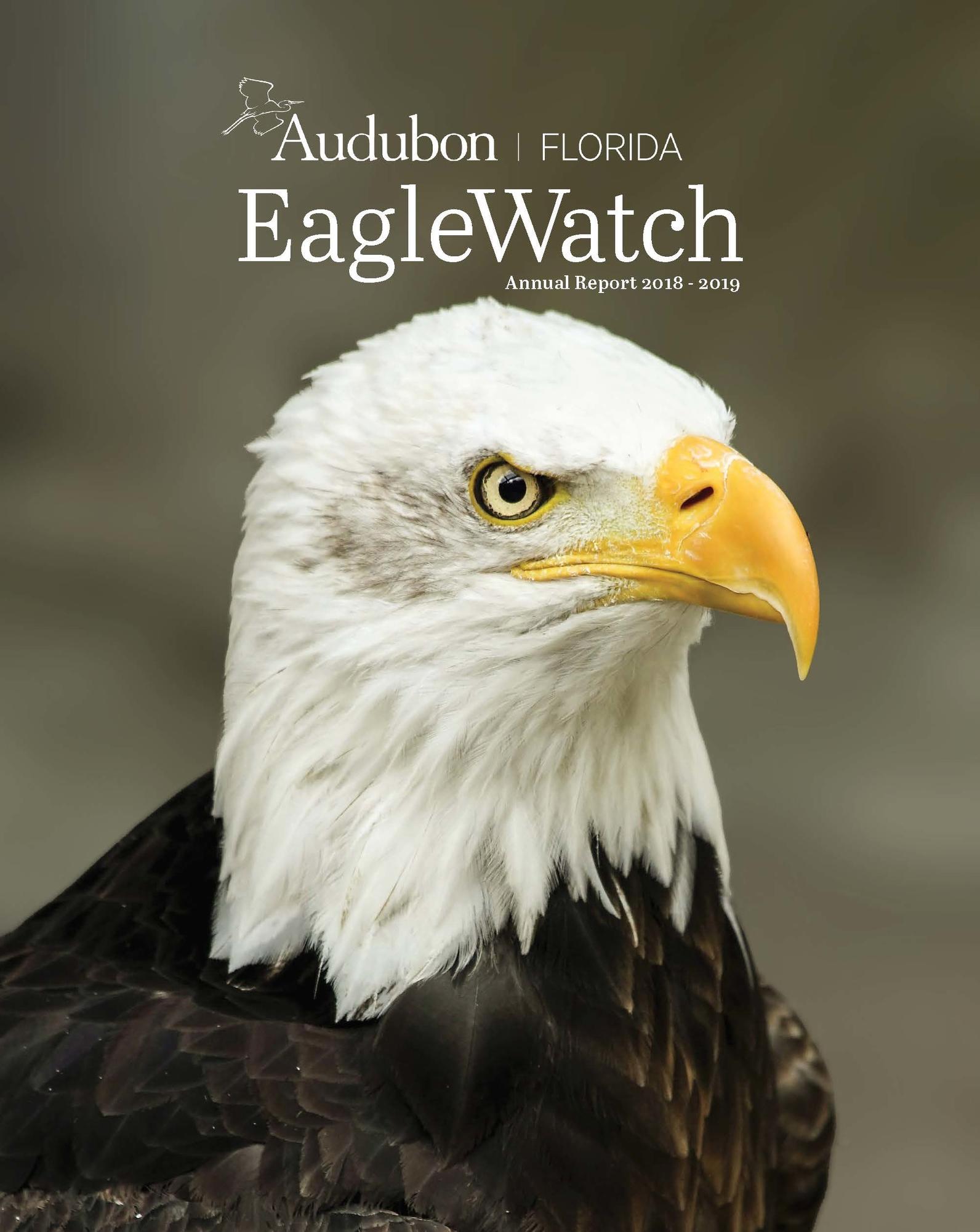 EagleWatch Report | Audubon Florida