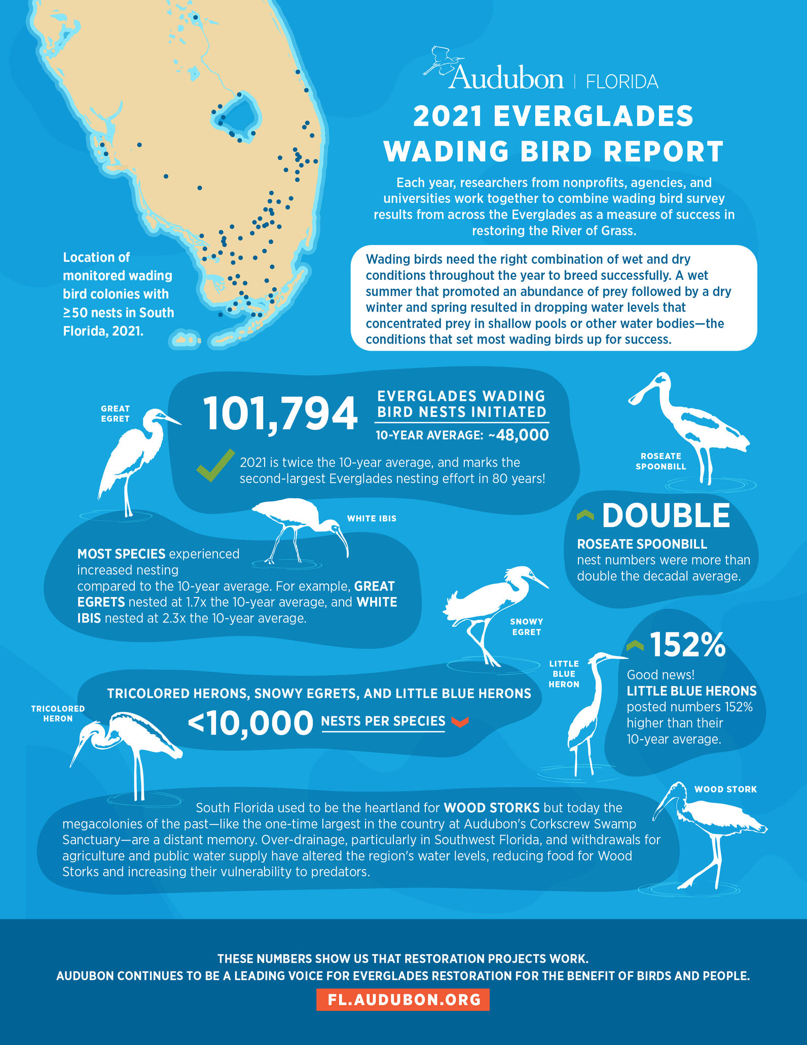 Infographic with words and bird art describing nesting efforts