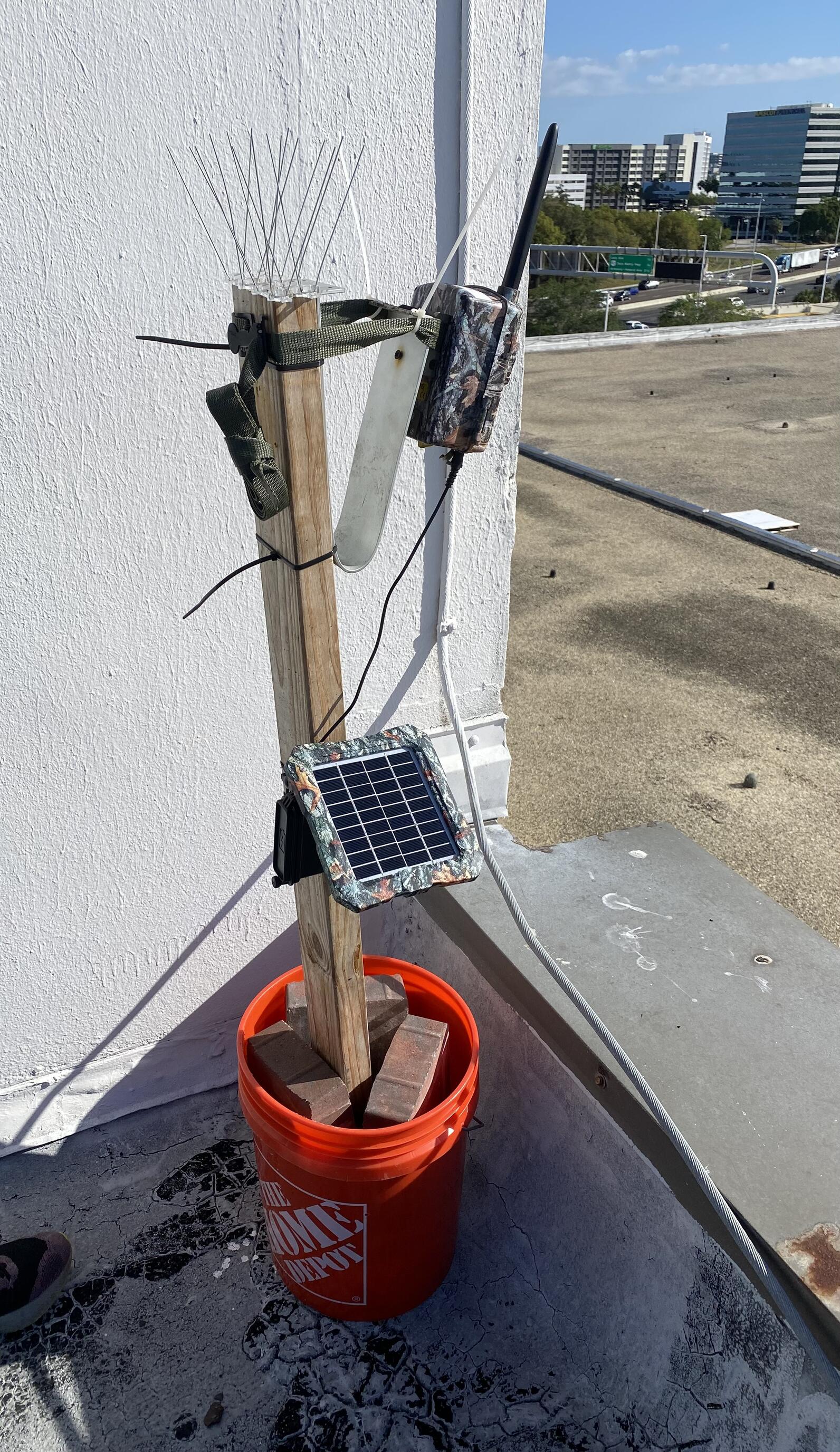 Solar-powered game camera on the roof.