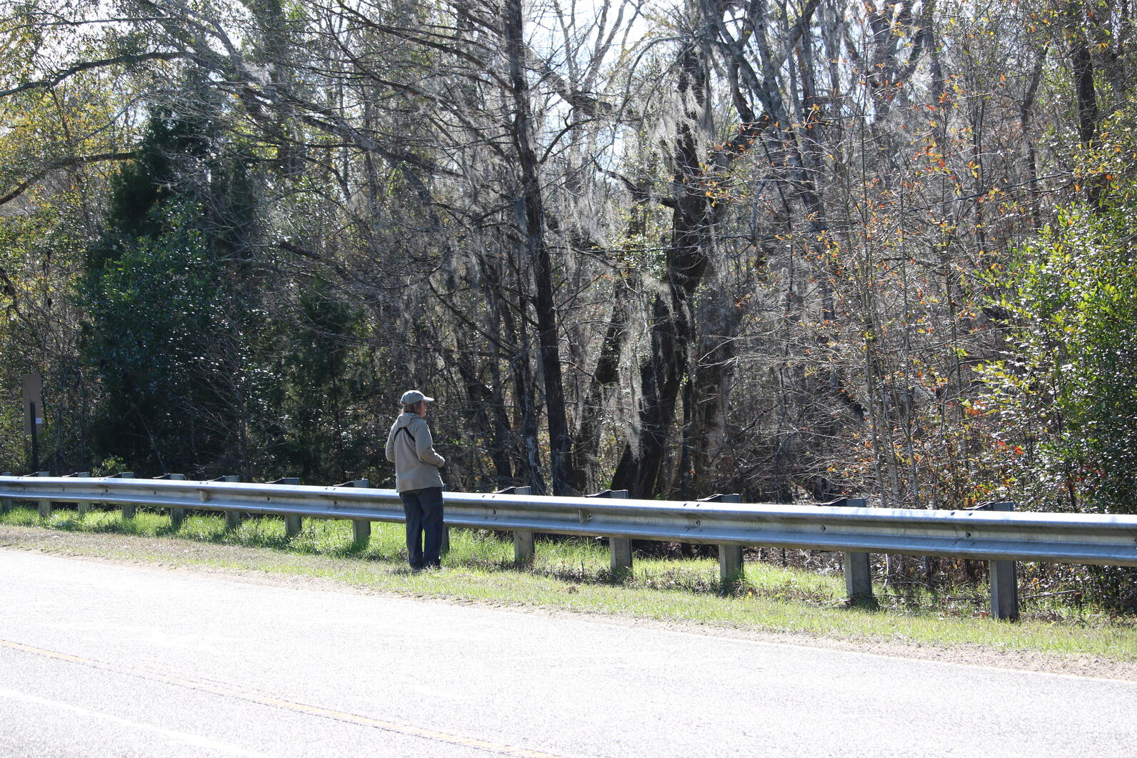 A person birds on the side of a road.