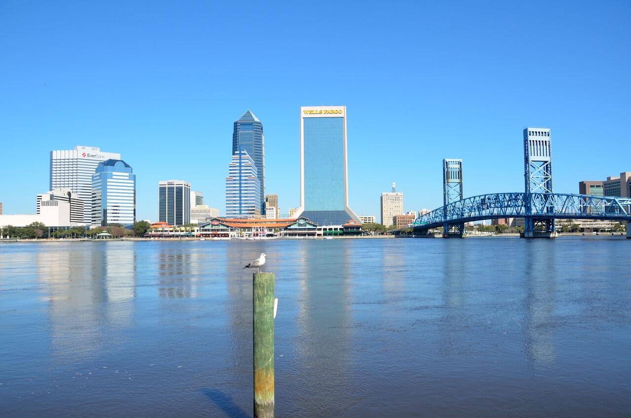 A view of the downtown Jacksonville from across the water, with a bridge on the right and a bird standing on a post in the foreground.