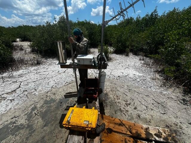 A man with equipment in the middle of a mangrove island.
