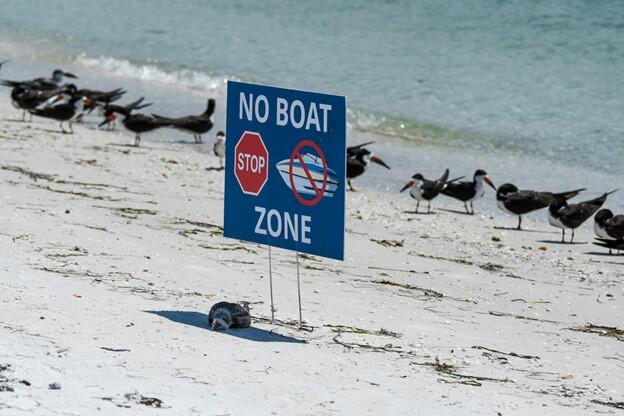 A blue sign that says "No Boat Zone" at the beach.