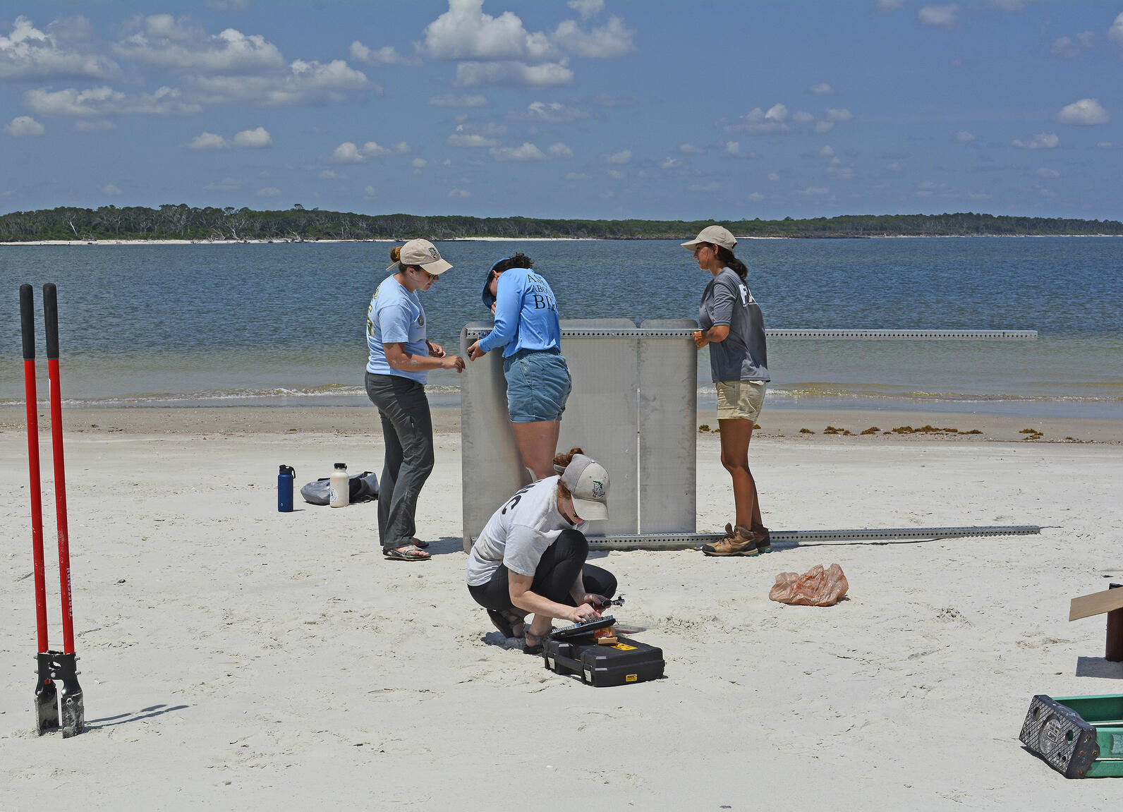 Volunteers put up signs on a sandy island, water in the background.