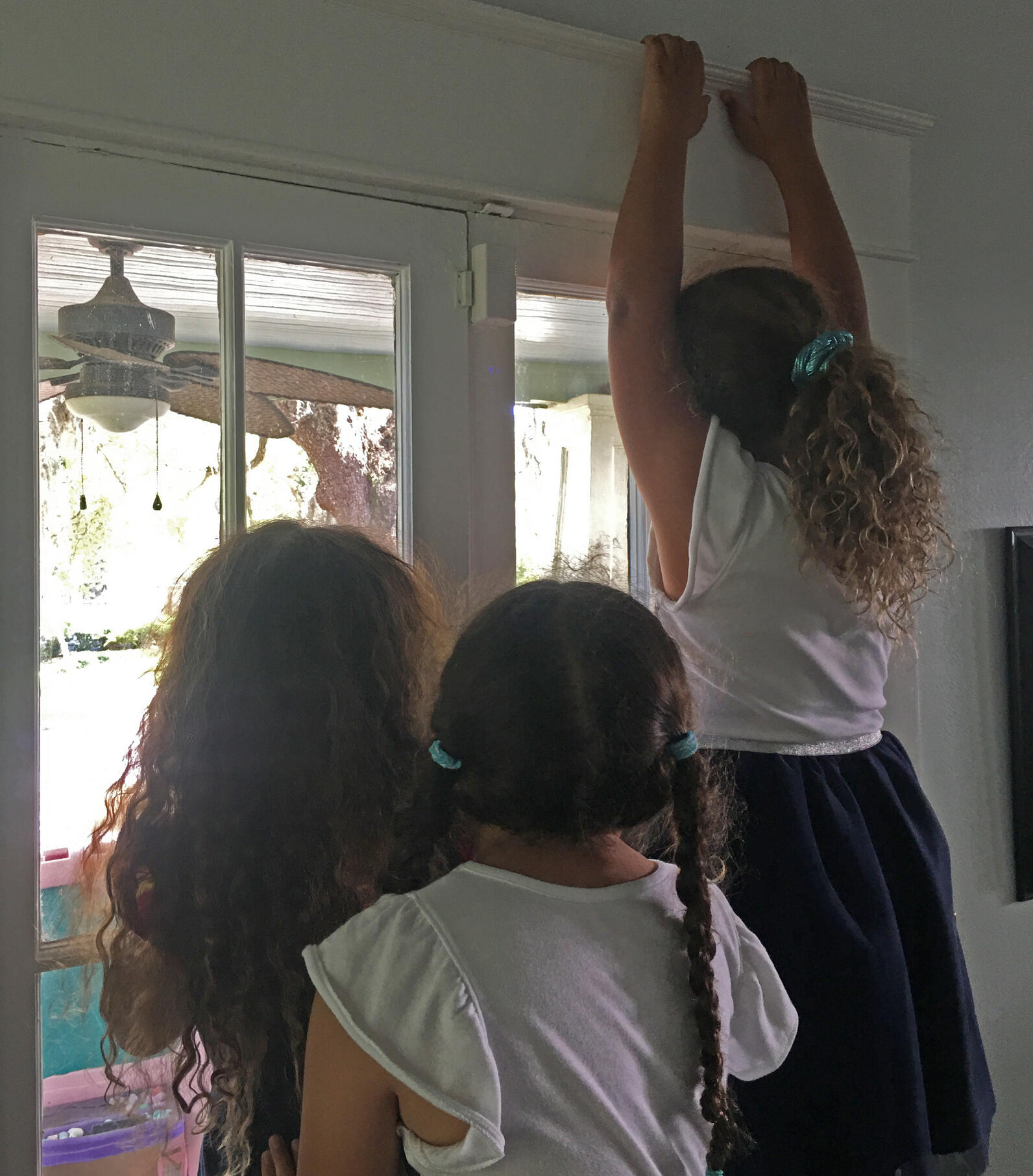 Kids watching the Mourning Dove nest.