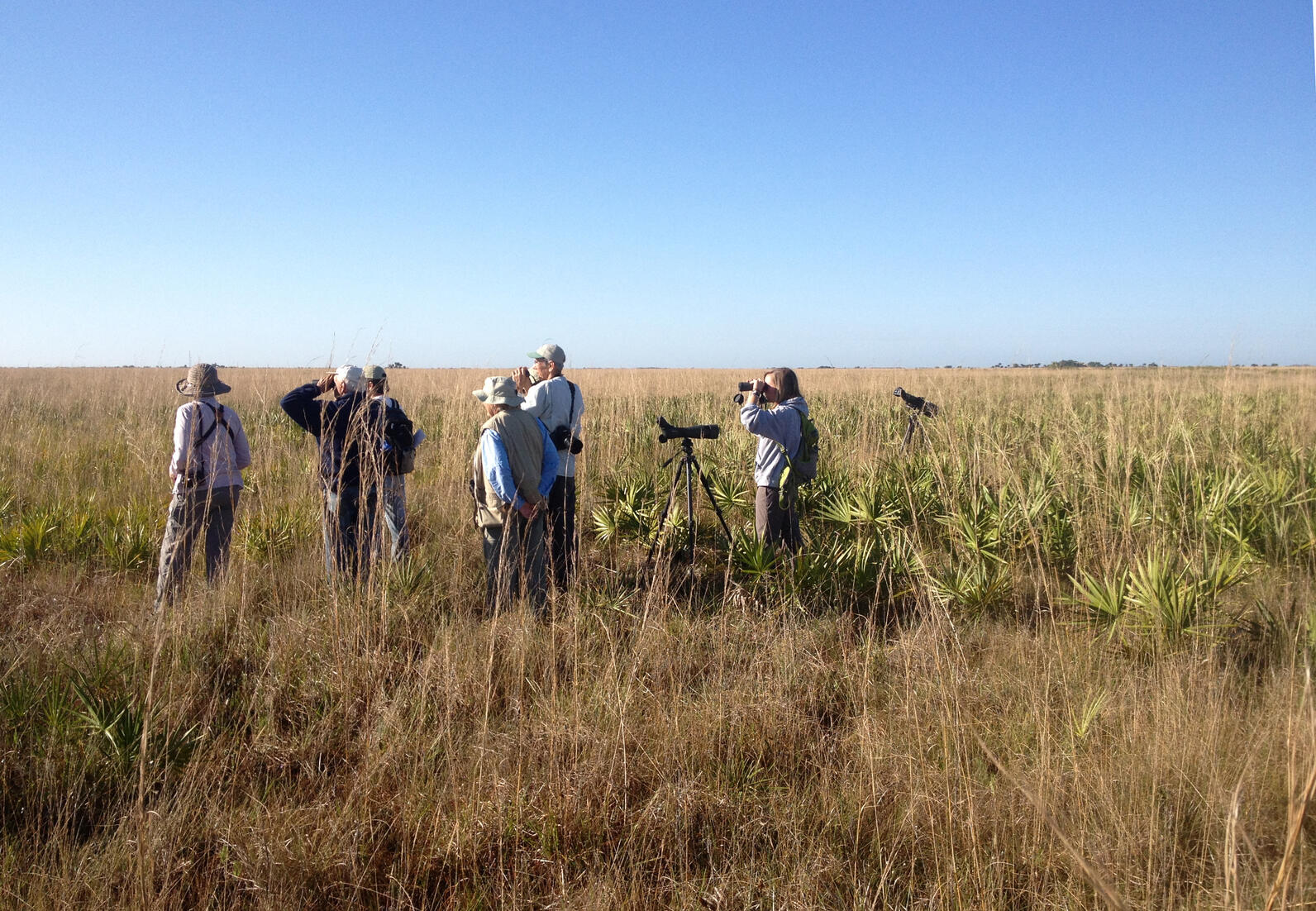 People in a field with spotting scopes
