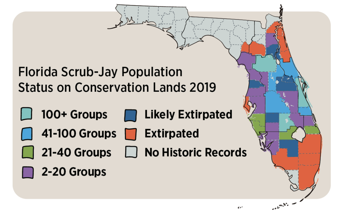 Map of Scrub Jay distribution.