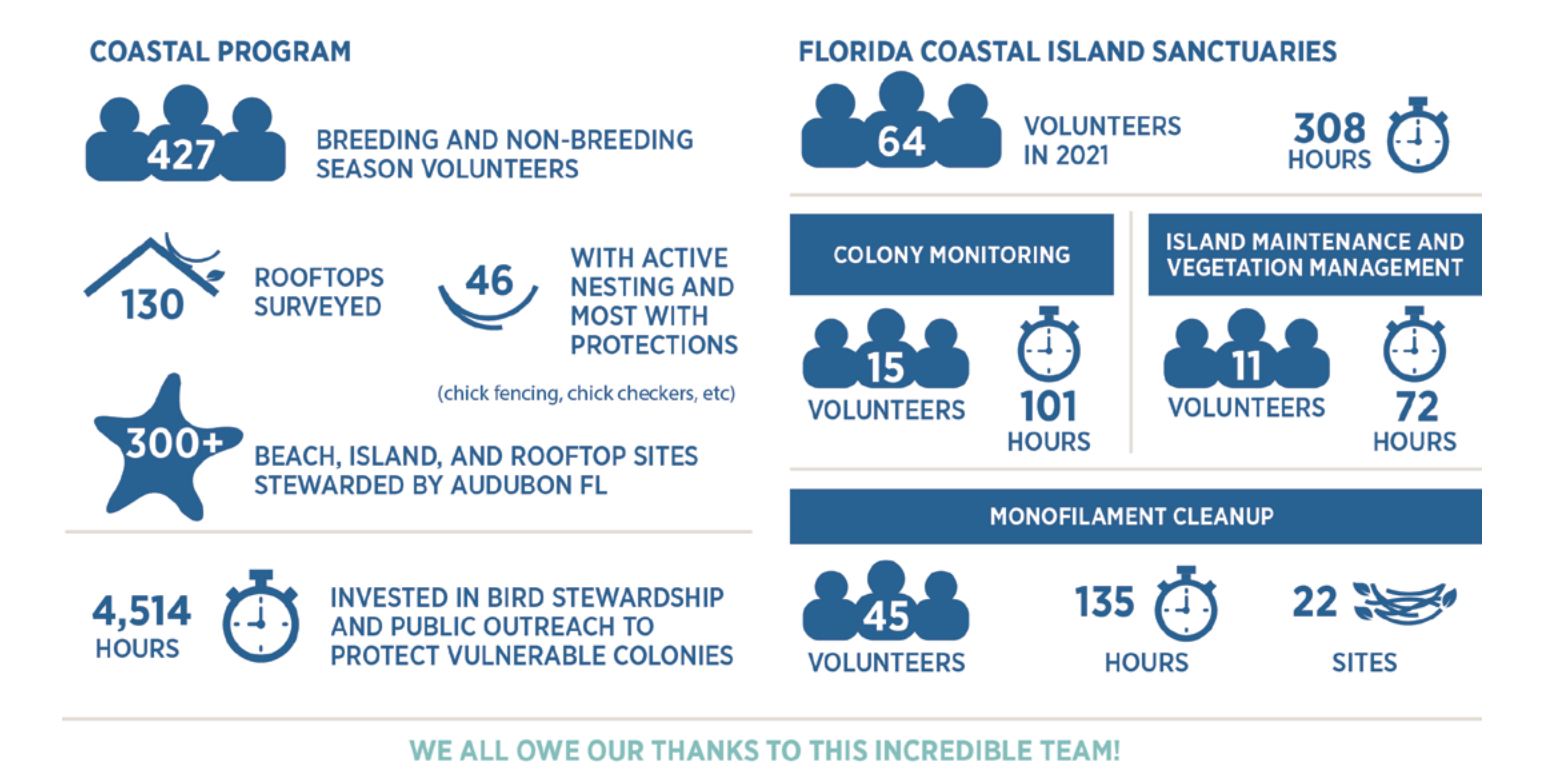 Infographic describing 2021 season. 427 breeding and non-breeding season volunteers. 130 rooftops surveyed. 300+ beach, island, and rooftop sites stewarded by Audubon FL. 4,514  hours invested in bird stewardship and public outreach to protect colonies.