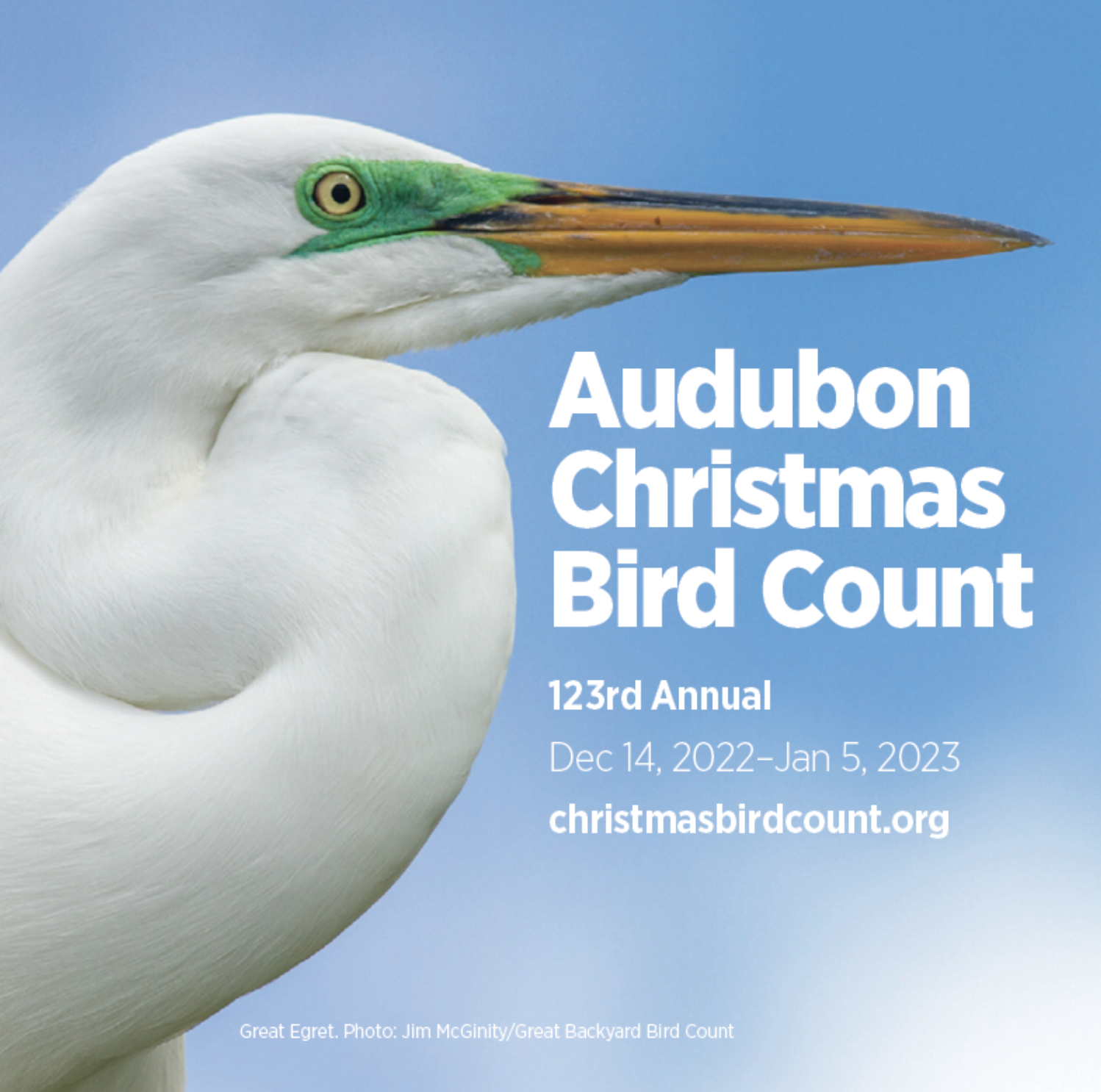 A photo of a Great Egret head and neck with 'Audubon Christmas Bird Count' text overlaid. Also: "123rd Annual Dec 14, 2022-Jan 5, 2023