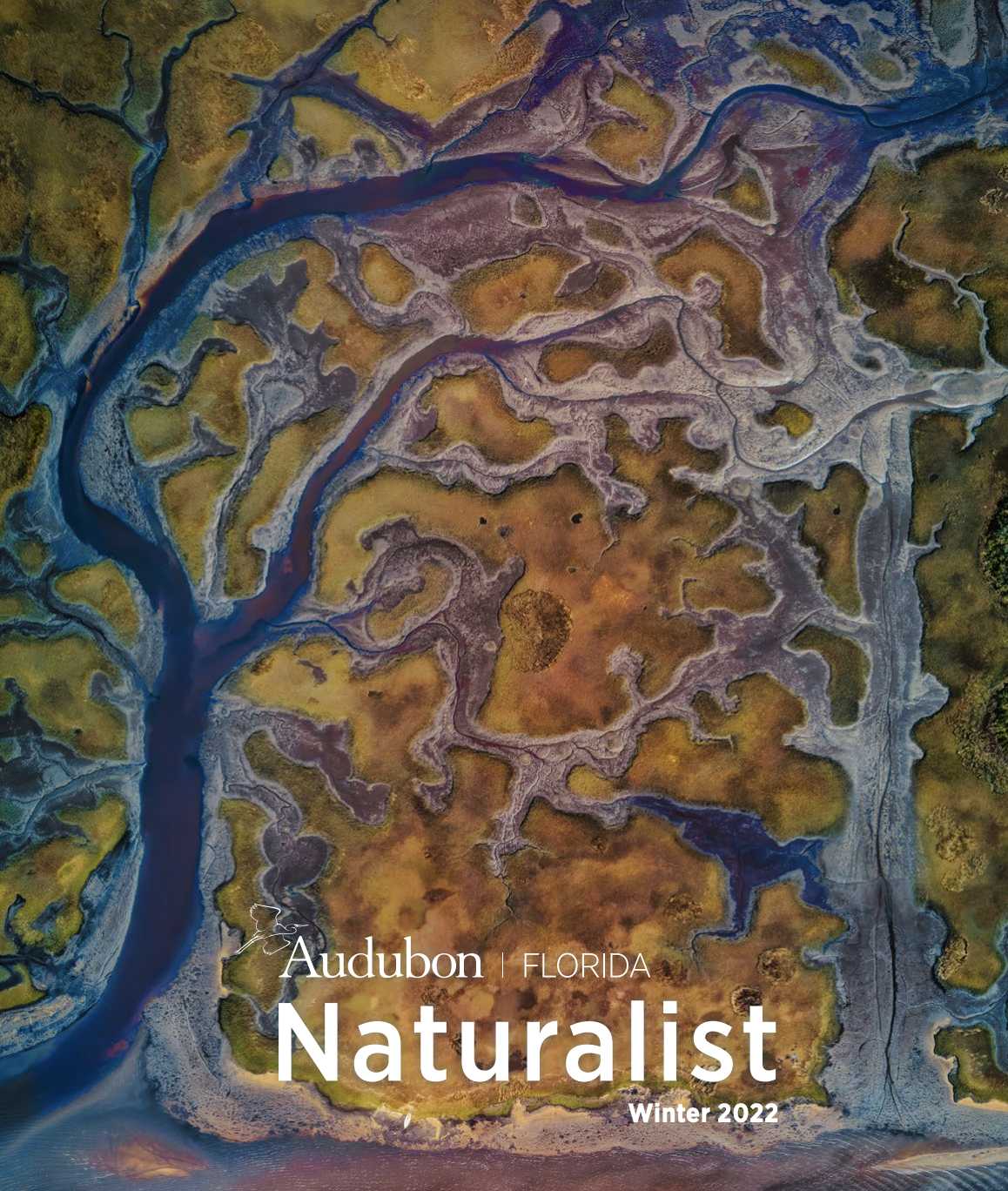 Naturalist magazine cover with a bird’s-eye view of Northeast Florida wetlands. 