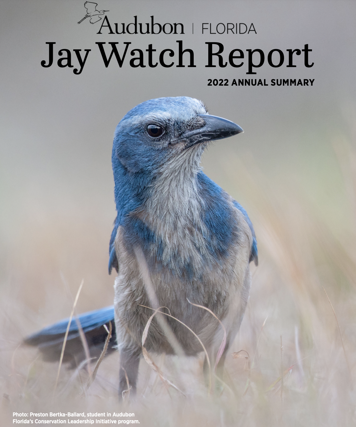 Cover of the 2022 Jay Watch Report. Features a Florida Scrub-Jay against a tan background.