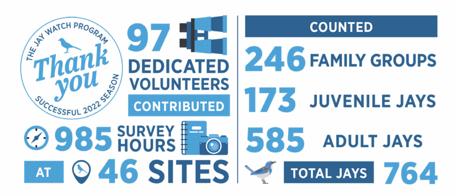 Jay Watch infographic that says: 97 dedicated volunteers contributed 985 survey hours at 46 sites
