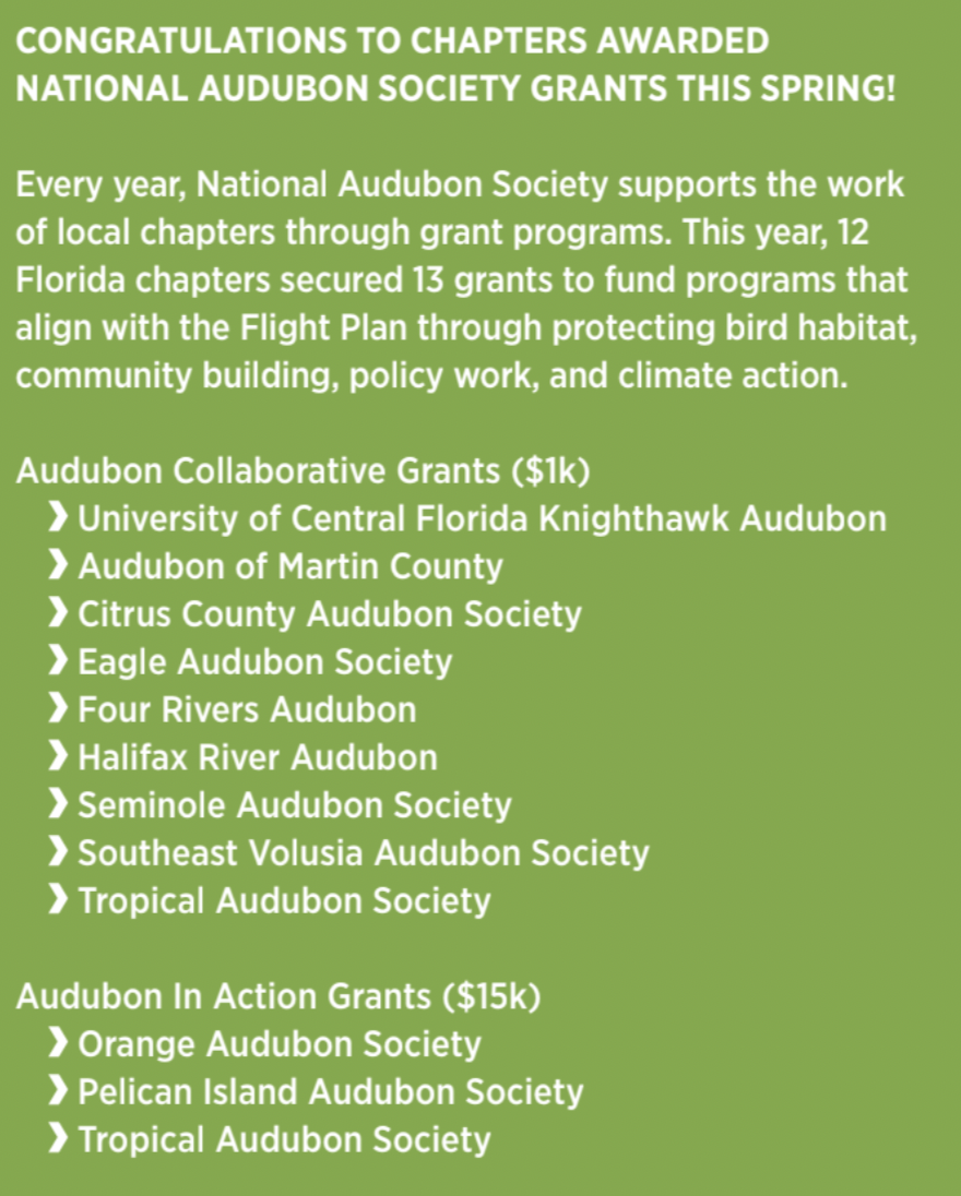 a list of chapters receiving grants this year from National Audubon Society