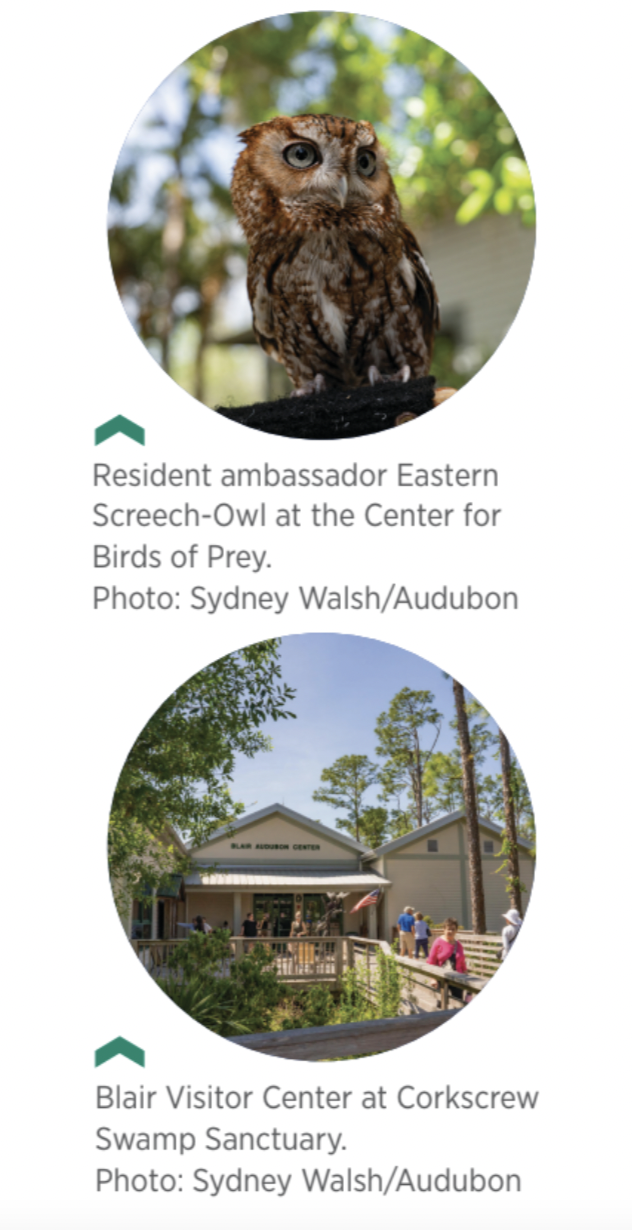 two circles showing two different pictures - the top one is an Eastern Screech-Owl and the bottom one is the Blair Visitor Center entrance at Corkscrew Swamp Sanctuary