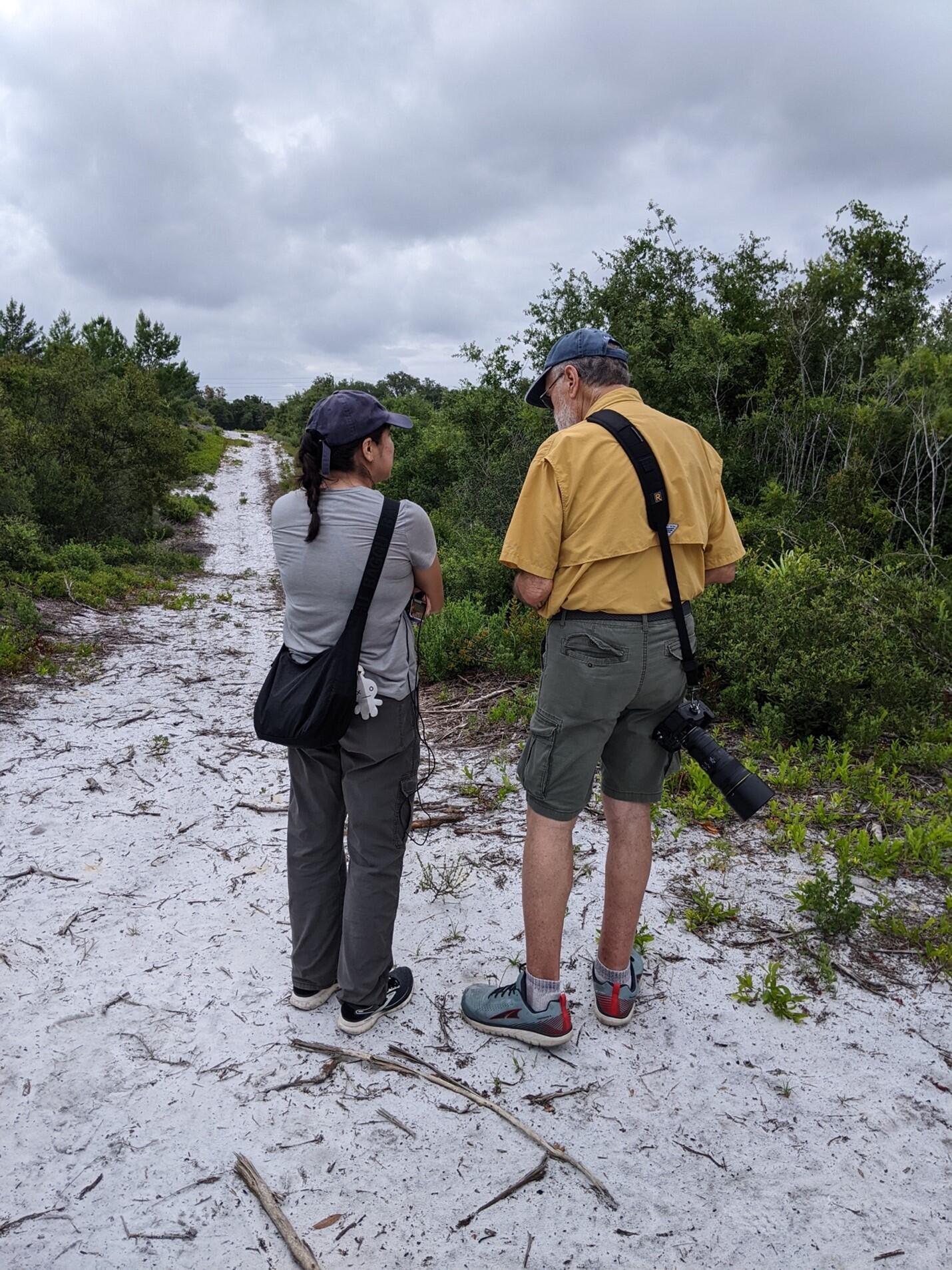 A woman and man stand with their backs to the camera, talking as they look down a long sandy trail in scrub habitat.