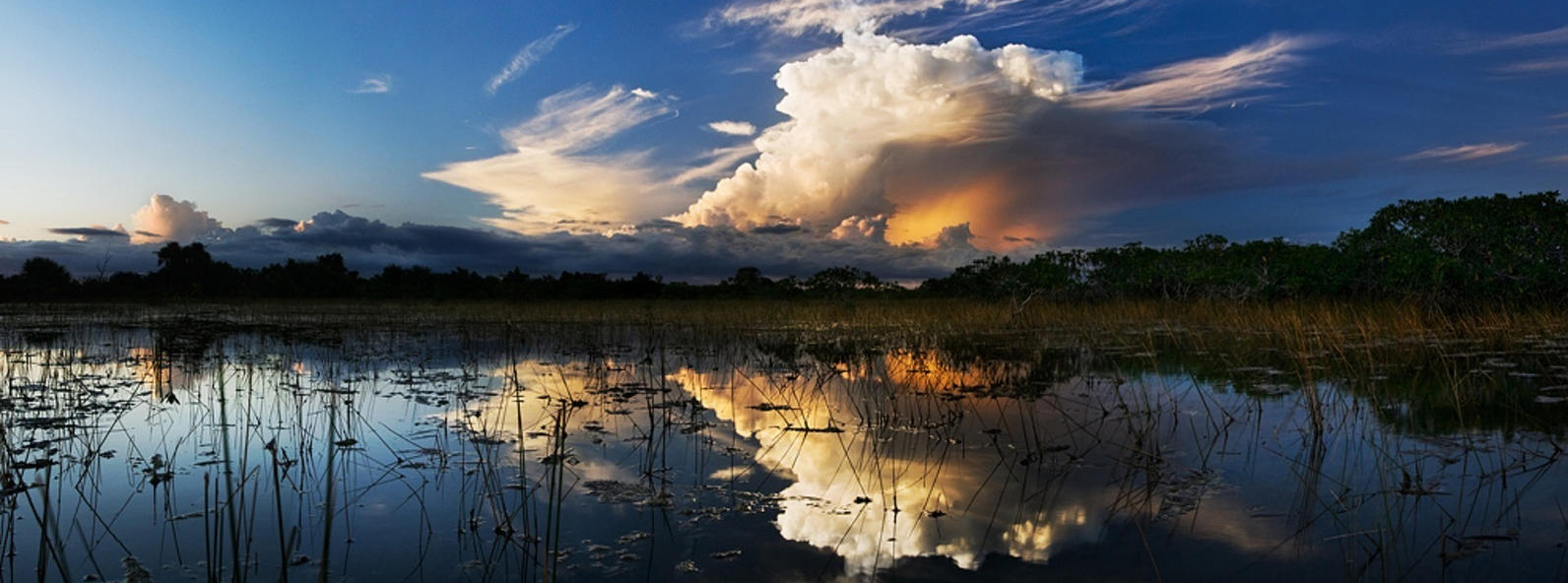 Storm clouds over the Everglades.