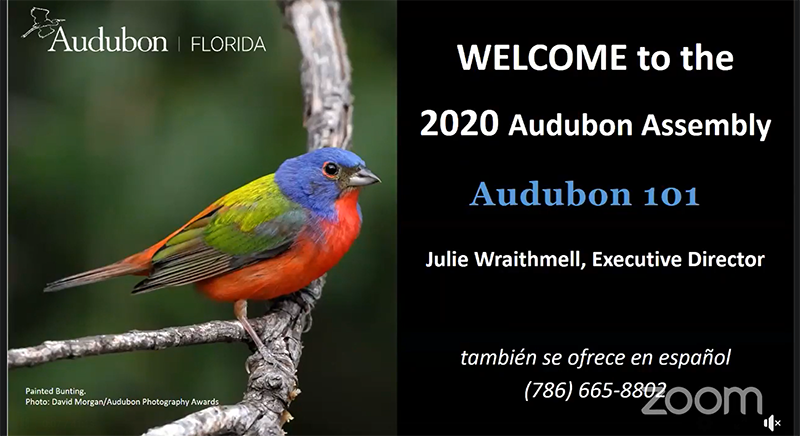 Audubon Florida 2020 Assembly Recordings | Audubon Florida