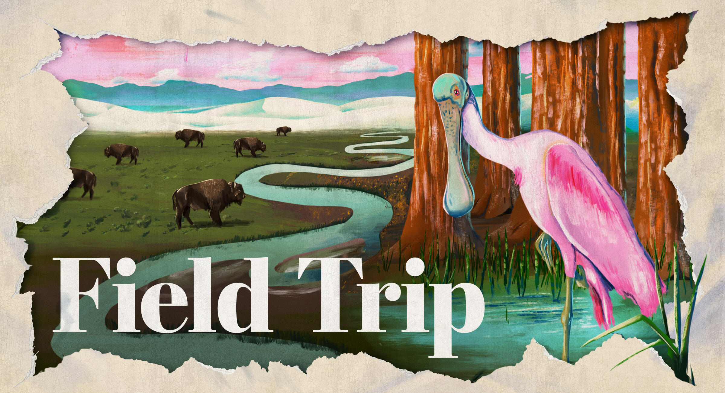 An artistic rendering of a Roseate Spoonbill in front of a landscape, with a bison in the background.
