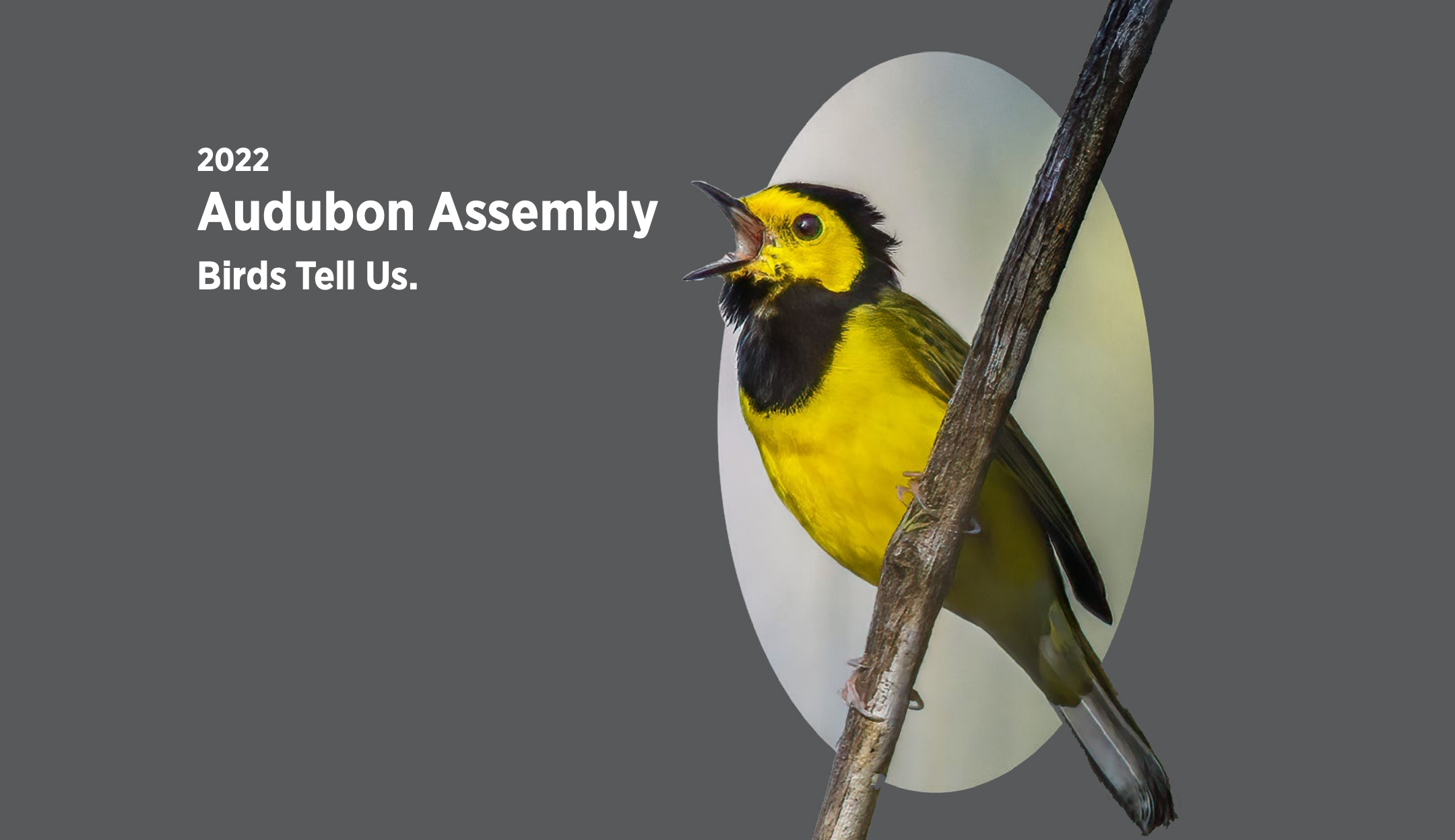 Promo graphic for assembly with a bird 
