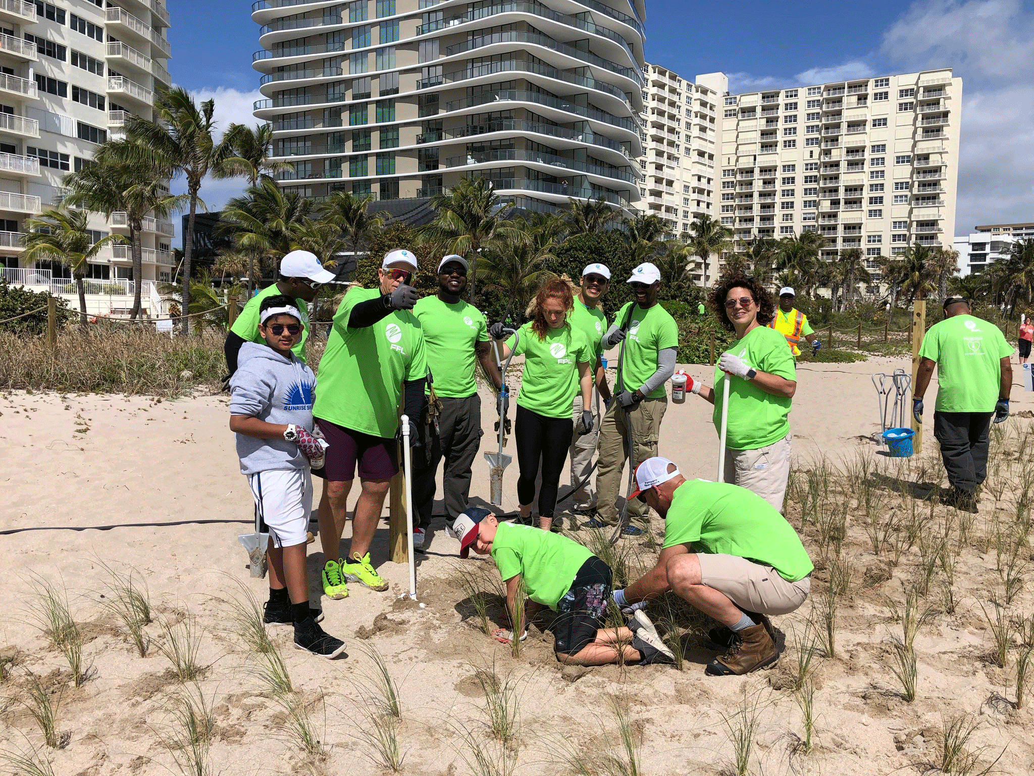 Group helping plant dunes