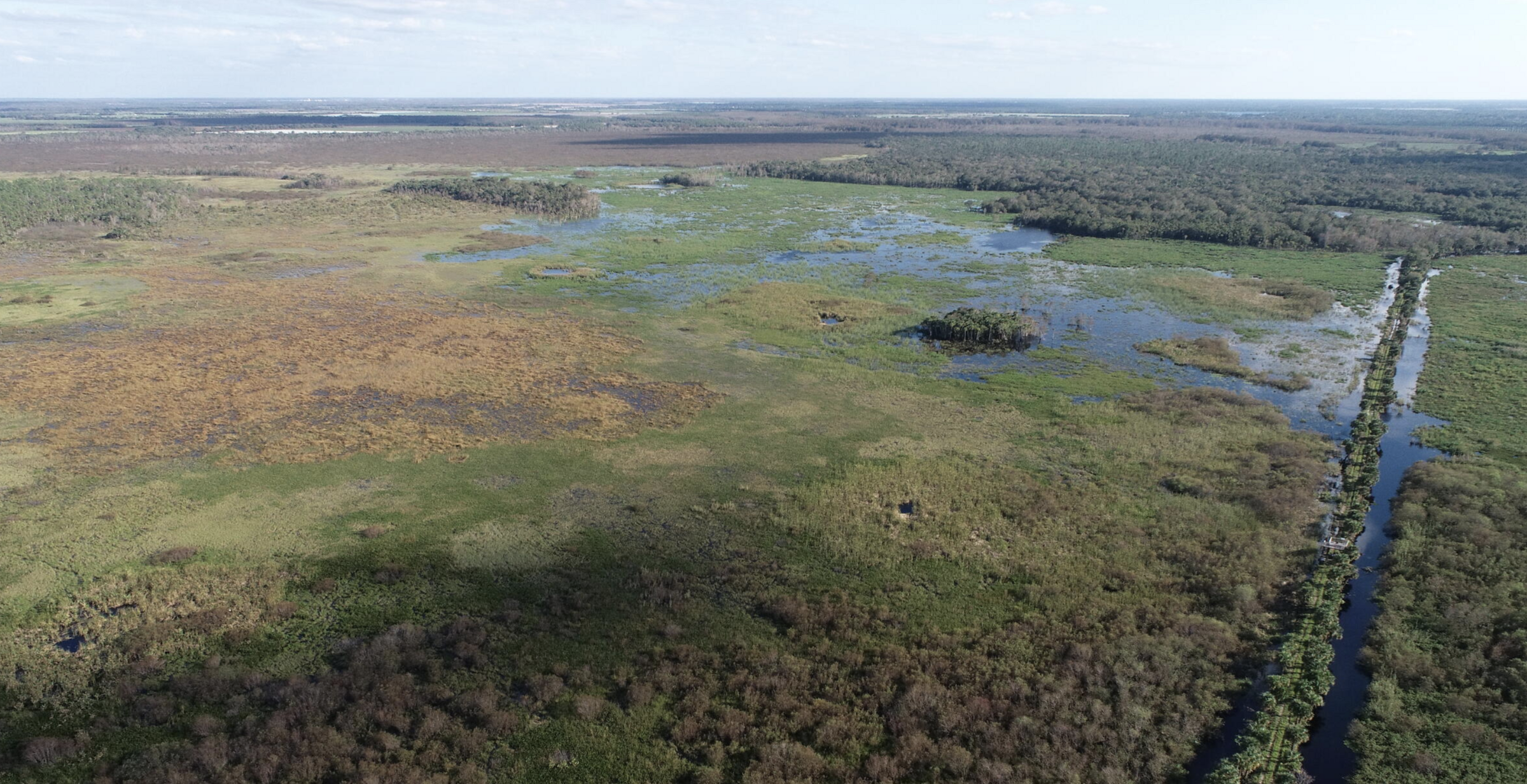 An aerial view of the restored wetland at Corkscrew Swamp Sanctuary.