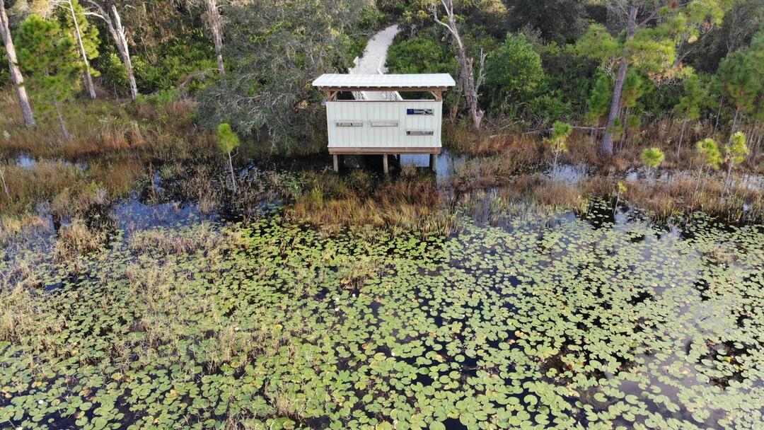 Bird blind and study site. Photo: SWFWMD