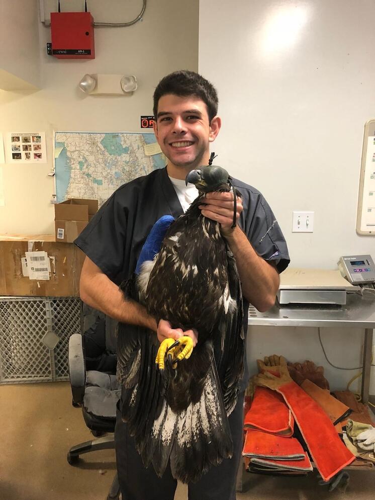 A Familiar Face: Former Raptor Trauma Clinic Intern Joins the Winter Park Veterinary  Hospital Team | Audubon Florida