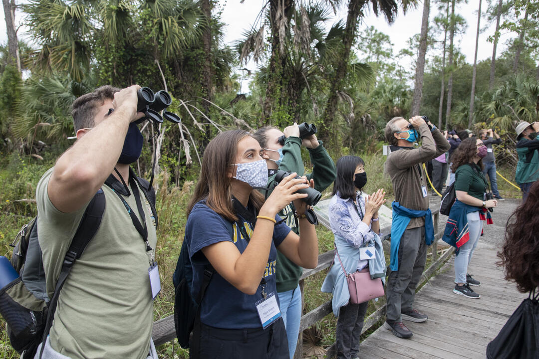 Students with binoculars looking at birds in a swamp.