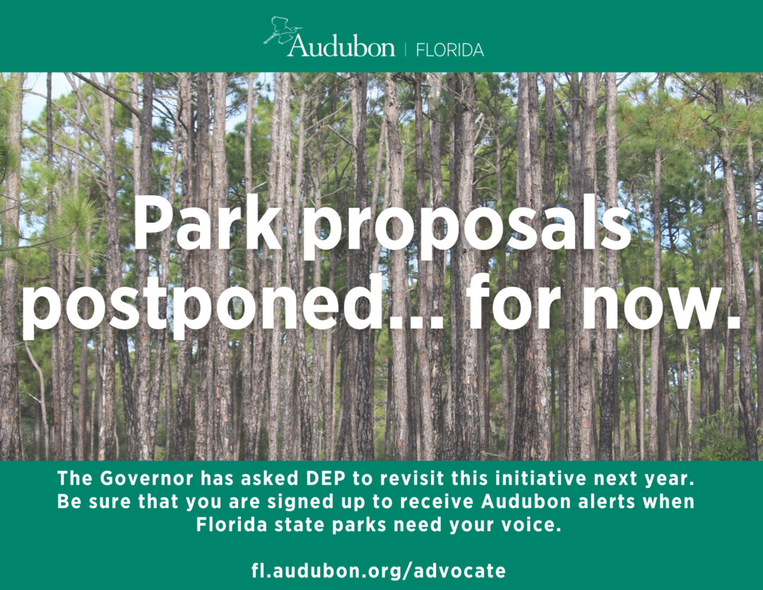 a graphic that says 'park proposals postponed...for now'