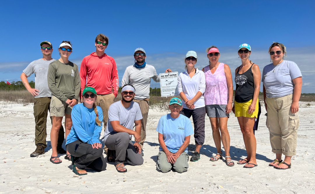 Volunteer Flock Protects Sea And Shorebirds During Busy Nesting Season ...