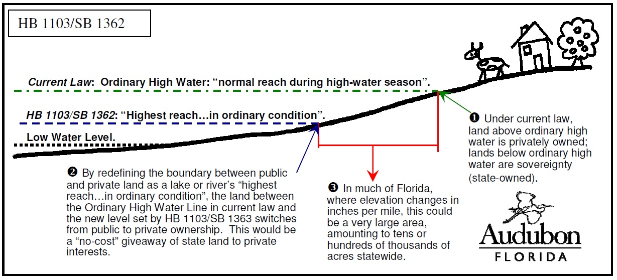 Mean High Water Mark Florida